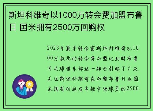 斯坦科维奇以1000万转会费加盟布鲁日 国米拥有2500万回购权