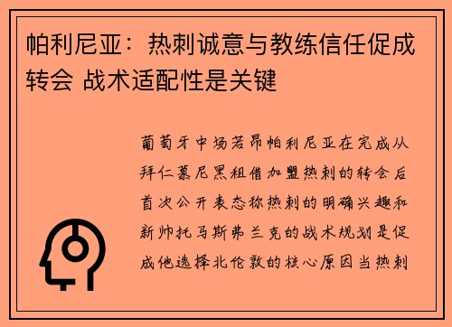 帕利尼亚：热刺诚意与教练信任促成转会 战术适配性是关键
